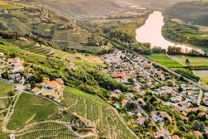 Excursion d'une demi-journée dans les Côtes du Rhône en Vintage Range Rover - Primary Image