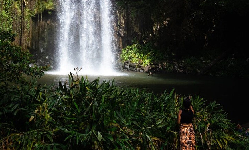 Image 1: Cairns Day Tour Private Waterfall