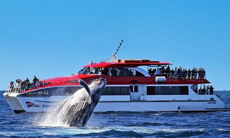 Image 2: Whale Watching & Hop On Hop Off Sydney Harbour Explorer Cruise
