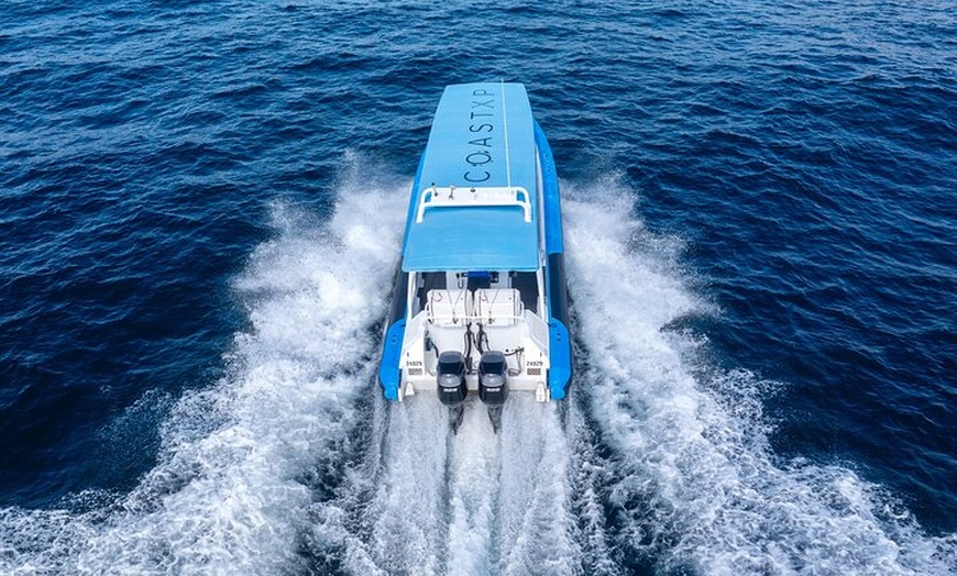 Image 8: Humpback Whale Encounter Tour from Newcastle