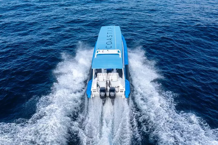 Humpback Whale Encounter Tour from Newcastle