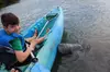Manatee and Dolphin Kayaking | Wildlife Refuge (Titusville)