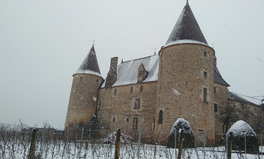Image 8: Excursion privée d'une journée de vin d'hiver dans le Beaujolais et...