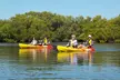 Half Day Kayak or SUP Rental (3hr) - Bunche Beach - Second Medium