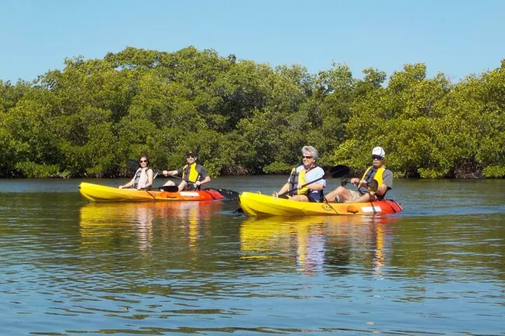 Half Day Kayak or SUP Rental (3hr) - Bunche Beach