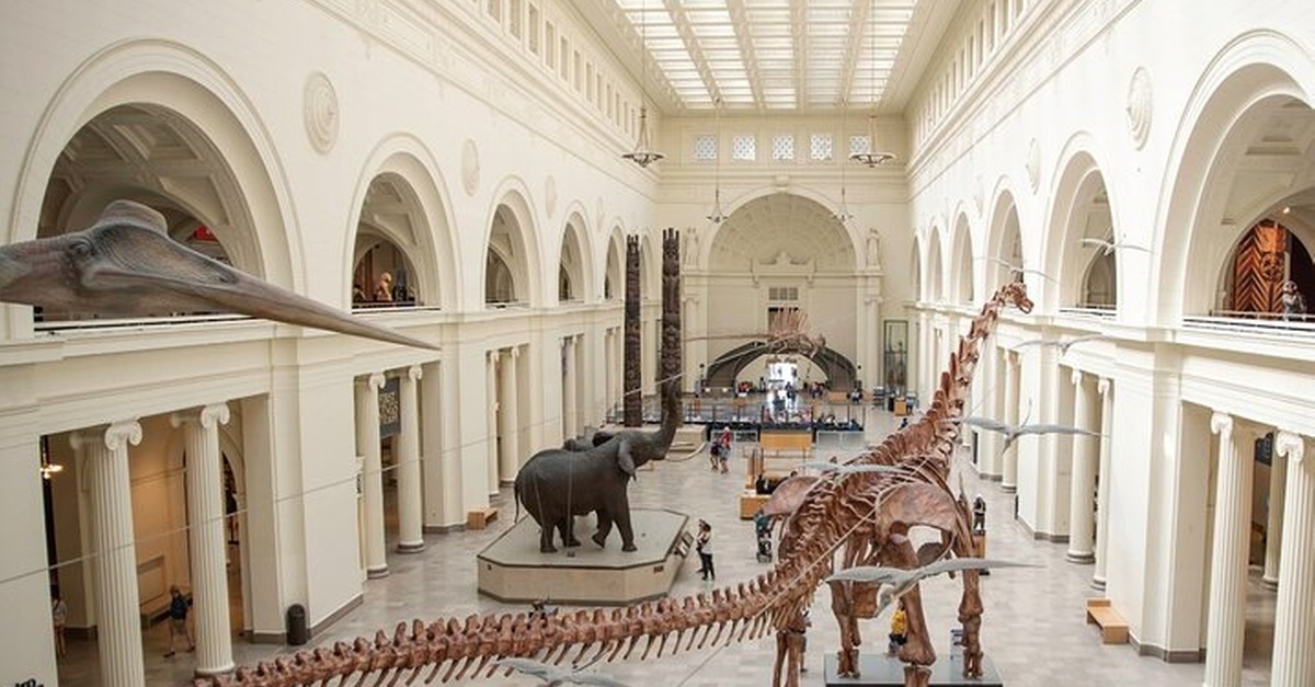 Field Museum Basic Admission Ticket Plus VR Experience