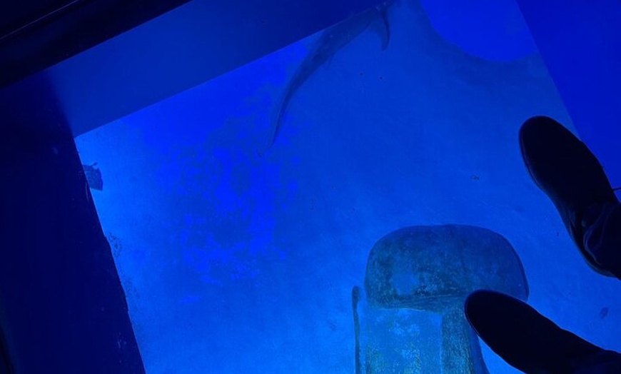 Image 19: London Walking Tour VIP