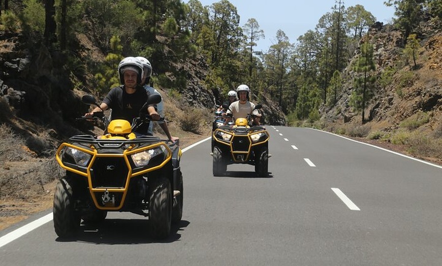 Image 3: Excursión volcánica al Teide Parque Nacional del Teide