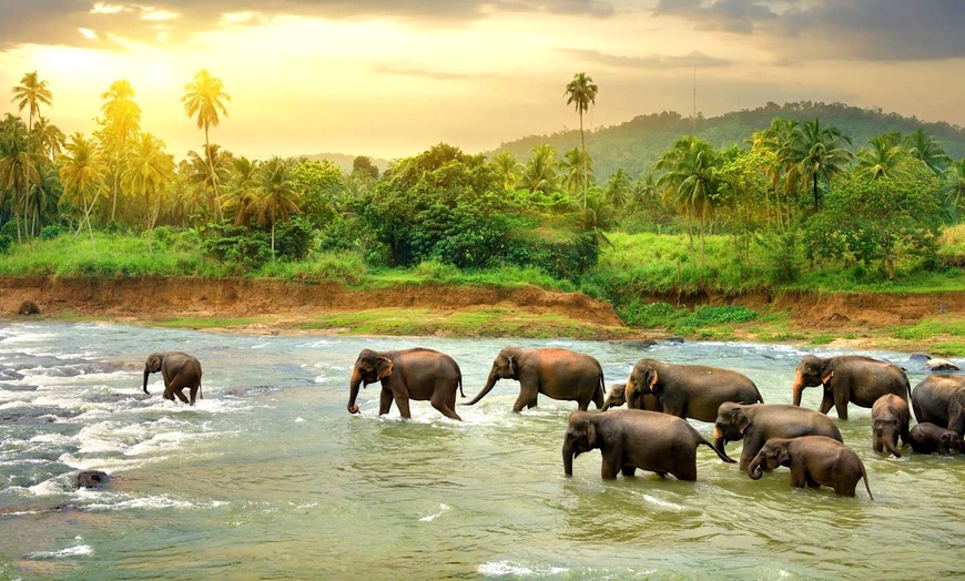 Image 23: ✈ INDIA | From Delhi to Colombo - Enchanting Getaways in India and ...