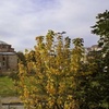 Image 13: ✈ TURQUIE | Istanbul - Sultanahmet Inn Hotel 3*, 2 nuit - City break