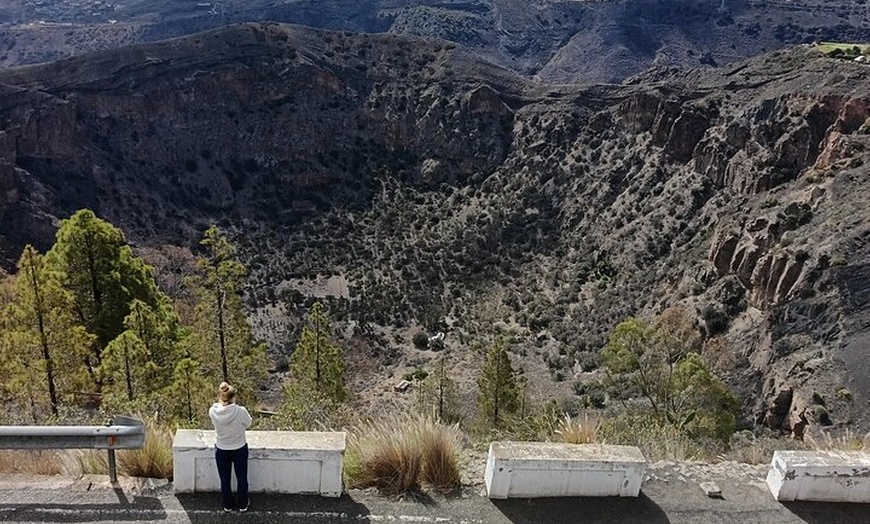 Image 12: Lo mejor de Gran Canaria: 4 horas Tour Privado para Cruceristas