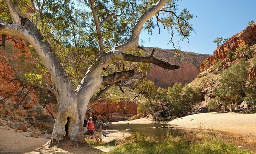 Image 2: West MacDonnell Ranges Tour from Alice Springs