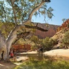 Image 2: West MacDonnell Ranges Tour from Alice Springs