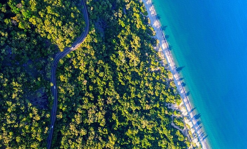 Image 12: Private Guided Tour in Port Douglas and Surrounds