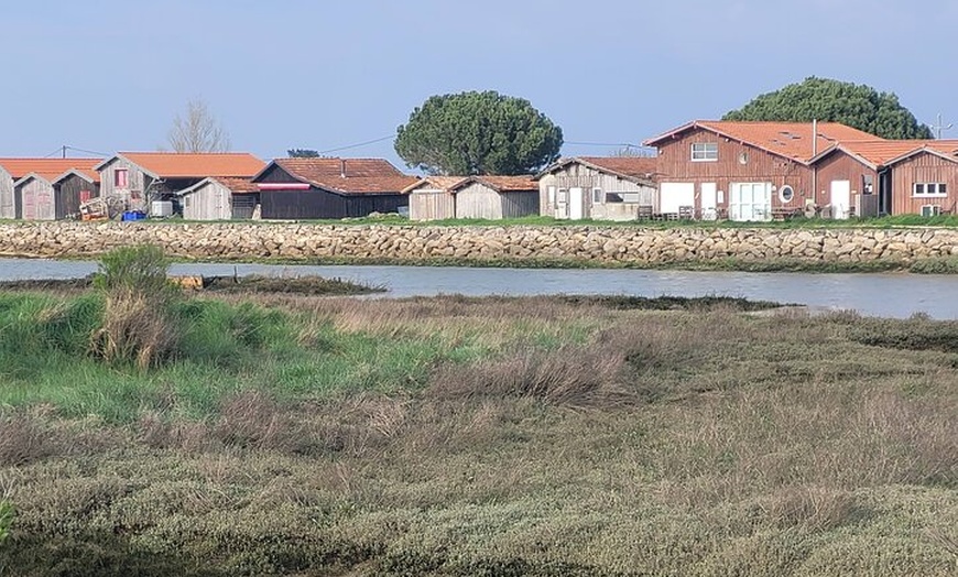 Image 9: Visite privée à Dune Du Pilat et Oyster Village