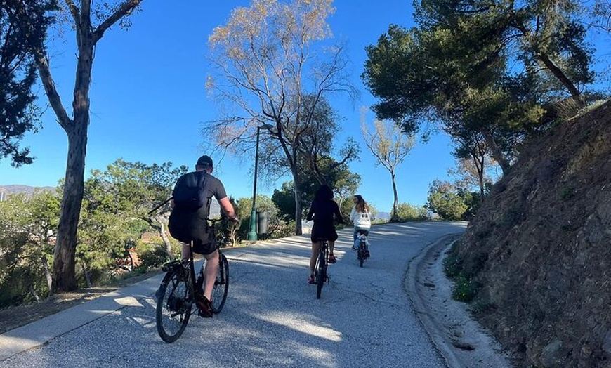 Image 3: Alquiler de bicicletas urbanas en Málaga