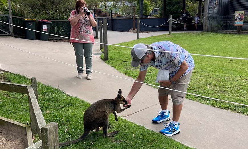 Image 11: South Coast Private Daily Group Tour - Pick up & Drop off