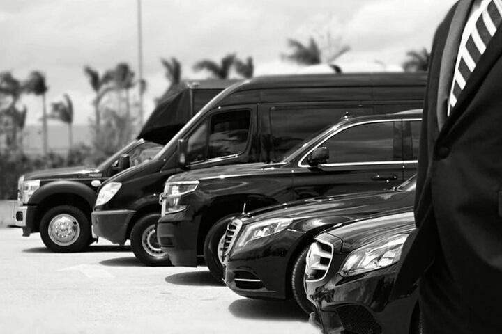 One-Way Transfer from the Airport to the Cruise Port