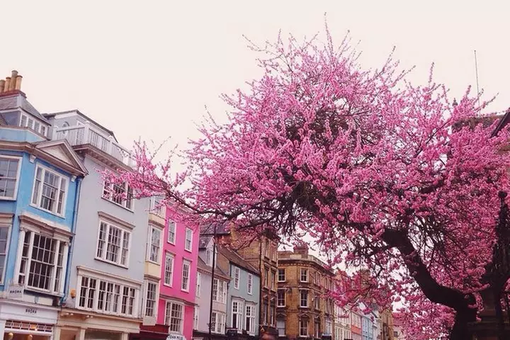 Cotswolds Villages and Oxford Full Day Tour from London