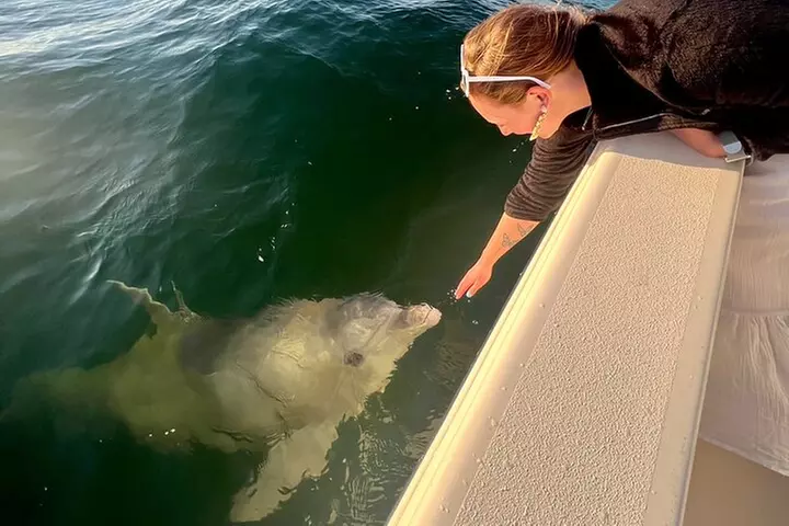 Destin Private Boat Tours Dolphin Crab Island Snorkel Sunset