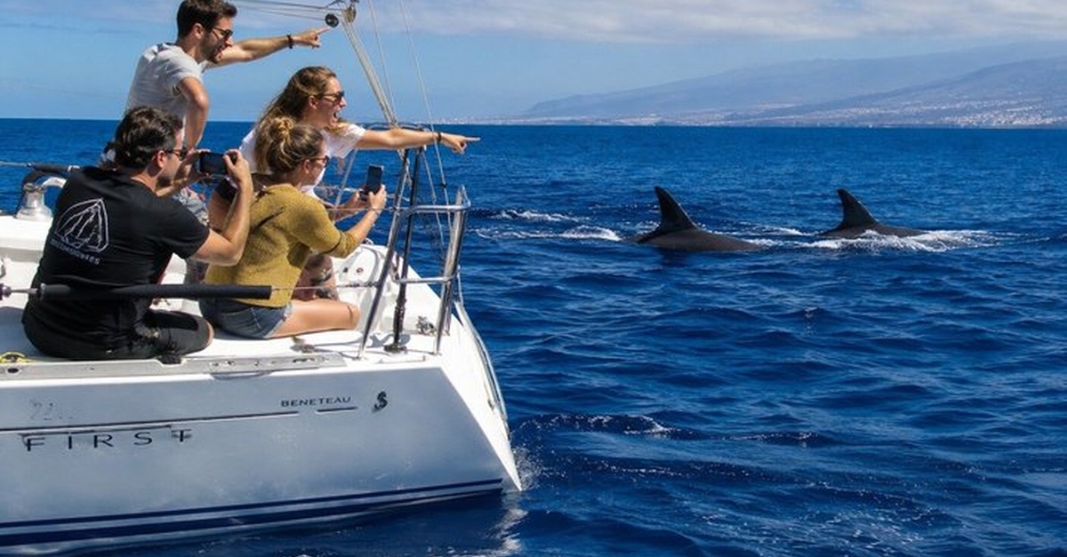 Excursión en velero con natación en Tenerife