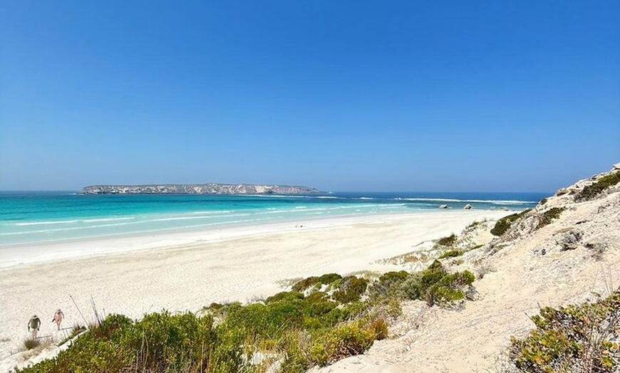 Image 5: Oyster Adventure in Coffin Bay (Coffin Bay Pick Up)