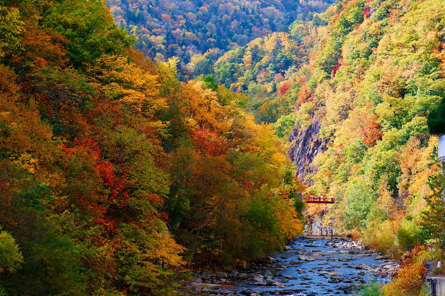 ✈ GIAPPONE | Da Sapporo a Tokyo - Alla scoperta di Hokkaido 3*, 13 ...