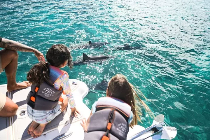 Venture Wildlife Snorkel Charter from Ko Olina