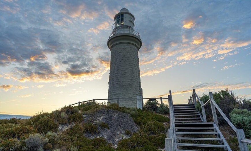 Image 7: Rottnest Island 90-minute E-Rickshaw Adventure with Tour Guide