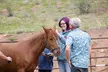 Wild Mustang Experience Near Colorado Springs - Second Medium