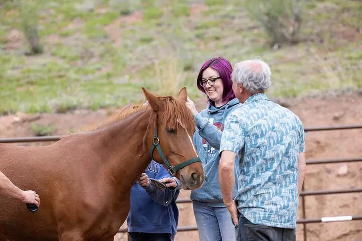 Wild Mustang Experience Near Colorado Springs