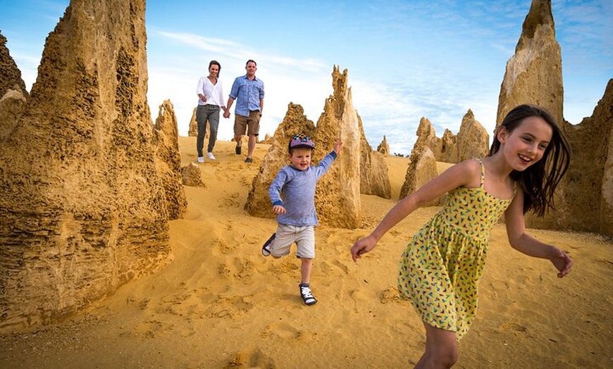 Image 4: Private Pinnacles Desert Tour from Perth