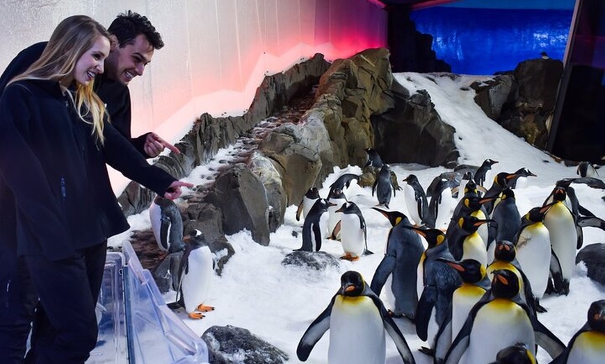 Image 11: Melbourne 3, 5, or 7 Ticket Flexi Pass