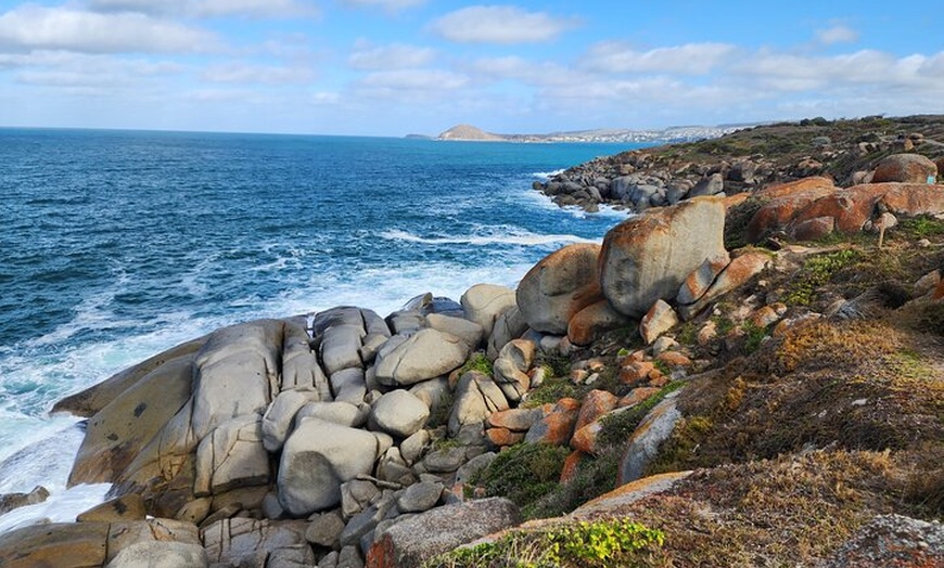 Image 9: Premium Victor Harbor, Port Elliot and d'Arenberg Minibus Tour