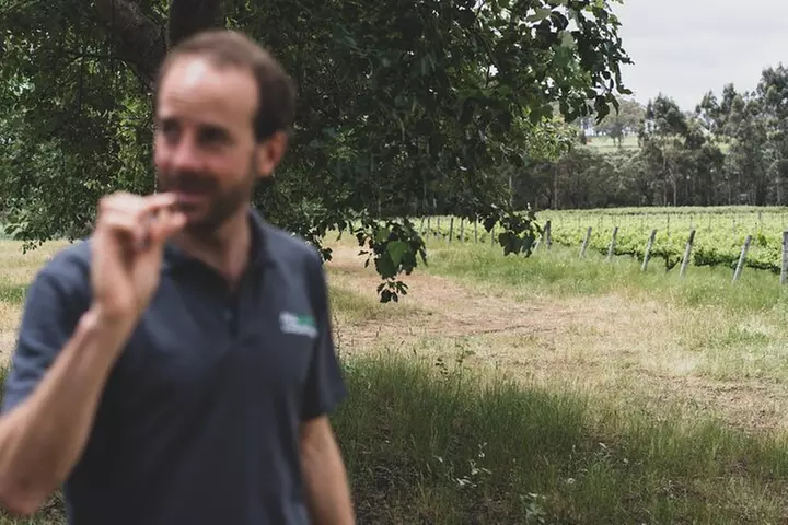 Secret Delights: Curated Wine, Coffee & Forest Experience