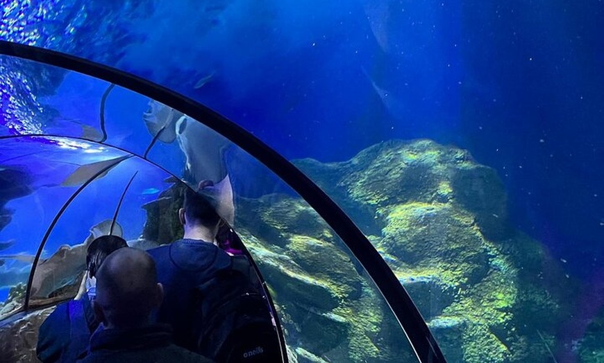 Image 23: Luxury Private Tour in London