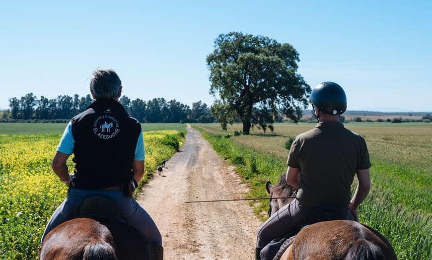 Image 8: Paseos a caballo por el Parque Nacional de Doñana