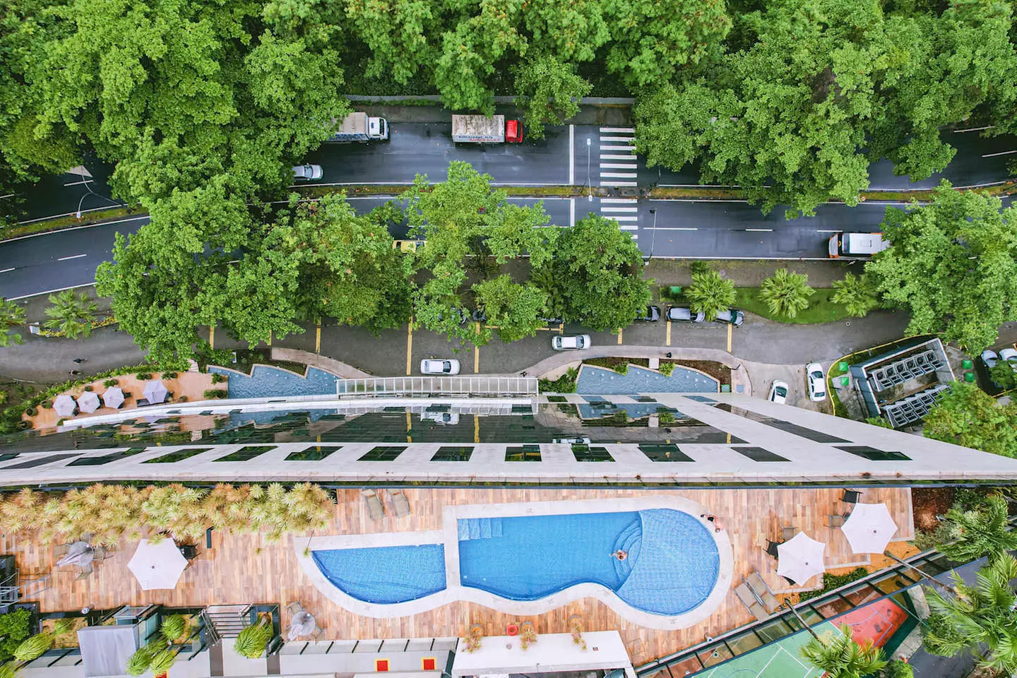 ✈ BRÉSIL | Rio De Janeiro - Concert Rosalia à Rio de Janeiro - Cat....