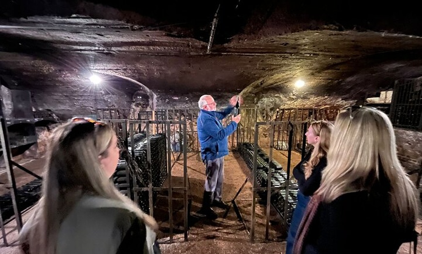 Image 7: Excursion privée d'une journée de vin d'hiver dans le Beaujolais et...