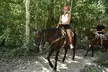 Jungle Triple Adventure Horseback, Ziplines and Cenote - Image 2