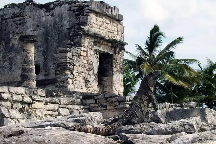 Amazing adventure cenotes & Tulum ruins. Visit a beautiful sculpture included. - Primary Image