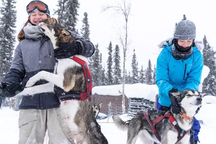 Sledding and Homesteading Adventure