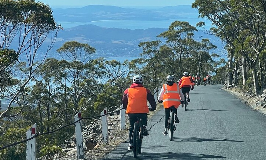Image 7: Easy Bike Tour - Mt Wellington Summit Descent & Rainforest Ride