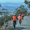 Image 7: Easy Bike Tour - Mt Wellington Summit Descent & Rainforest Ride