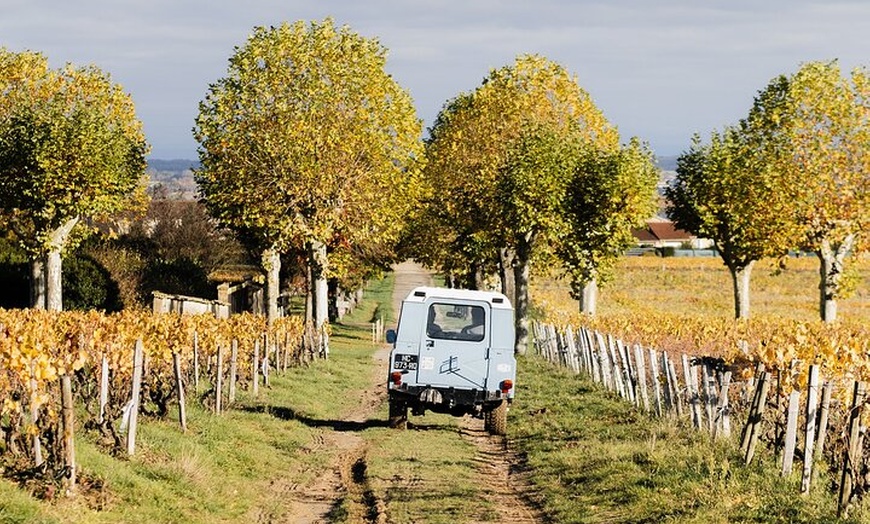 Image 10: Explorez le Beaujolais lors d'une visite privée d'une demi-journée ...