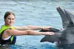 $89.99 For A Dolphin Encounter (Reg. $179.98) - Second Medium