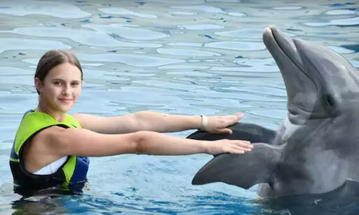 $89.99 For A Dolphin Encounter (Reg. $179.99) - Second Medium