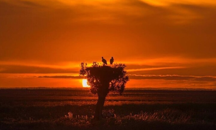 Image 3: Experiencia Guiada en Doñana en 5 Sentidos