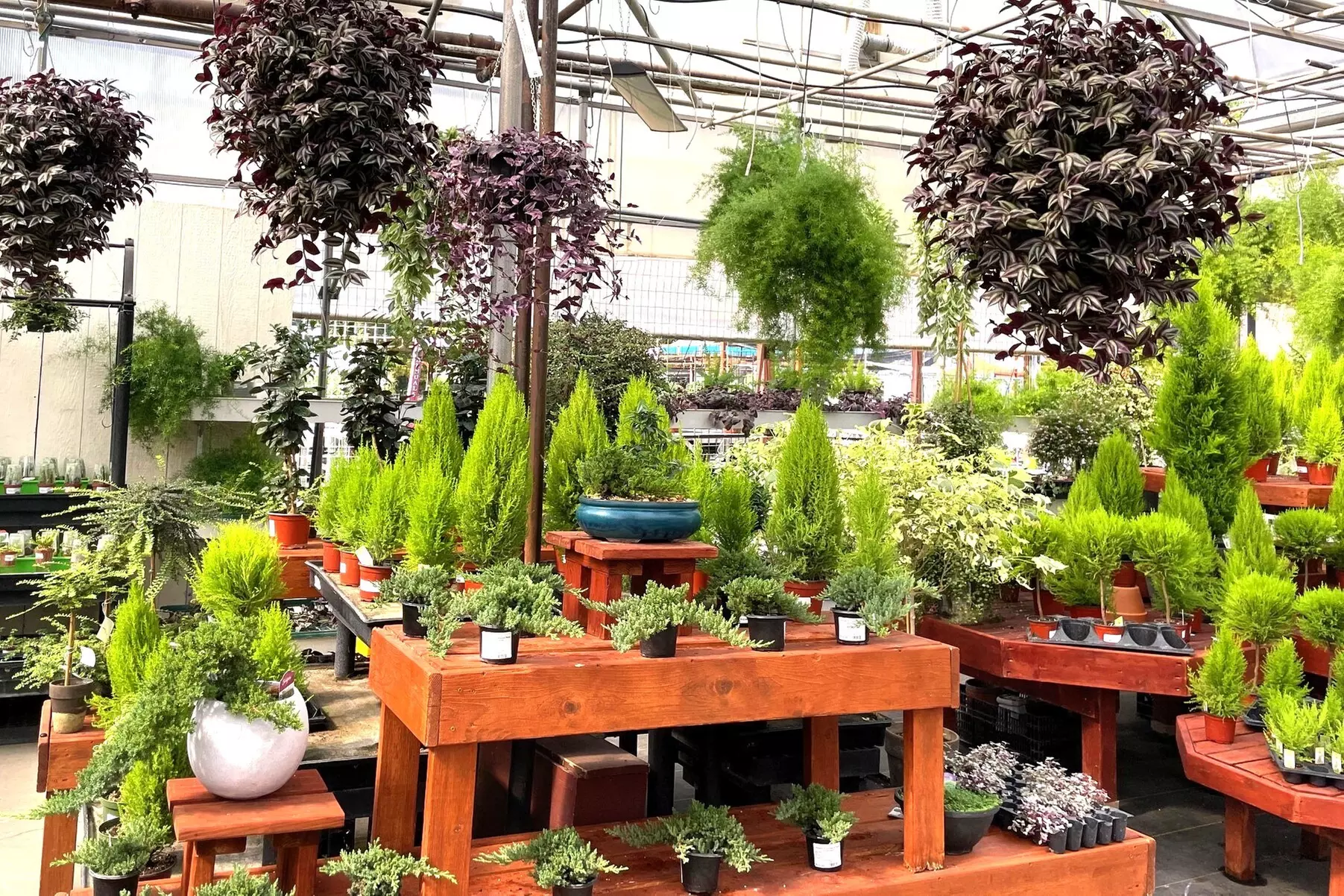 $25 For $50 Towards Home & Garden Decor, Flowers & Plants