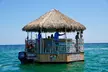 Dolphin Sightseeing Tiki Boat Tour 90 minutes - Second Medium